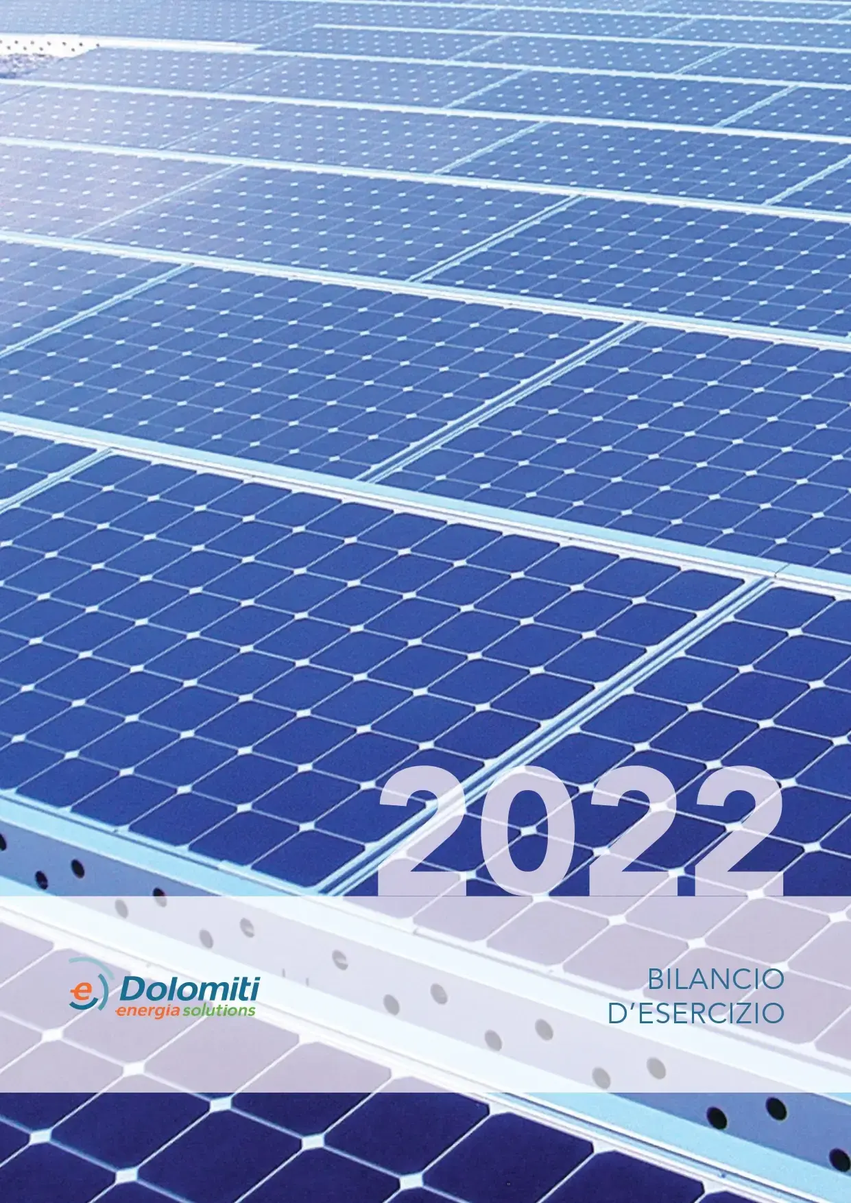 Bilancio-DES-2022