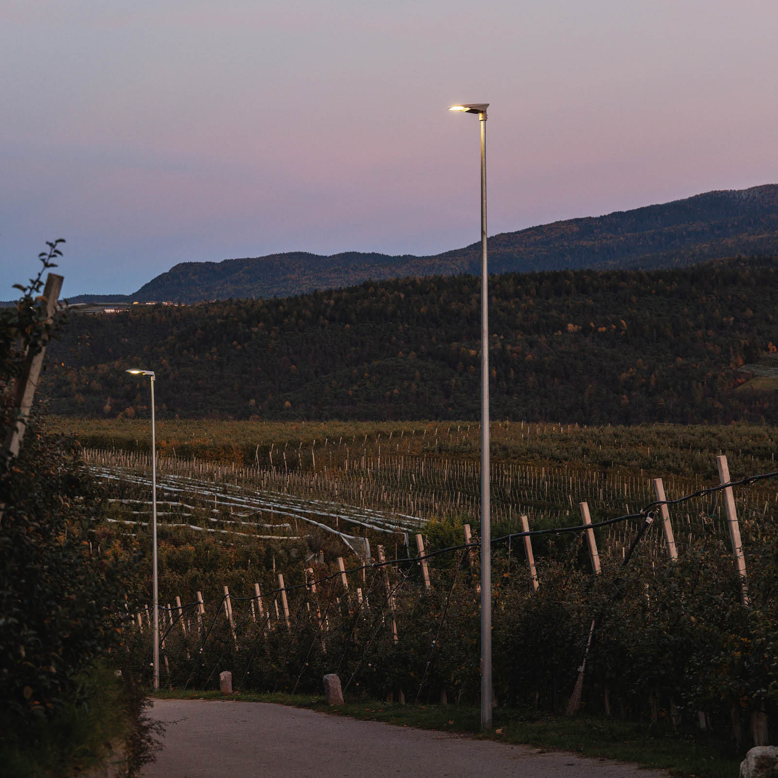 IMG_COMUNE NOVELLA_ILLUMINAZIONE PUBBLICA_INT (3)