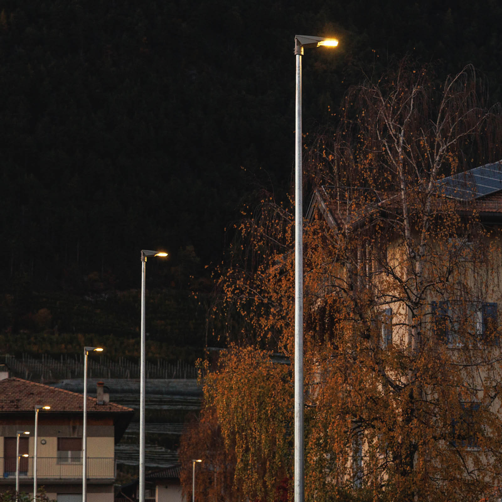 IMG_COMUNE NOVELLA_ILLUMINAZIONE PUBBLICA_INT (5)