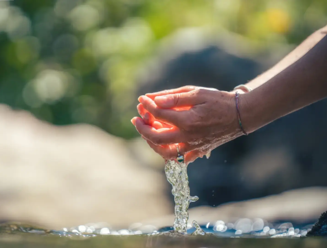 Mani che raccolgono acqua pulita in natura